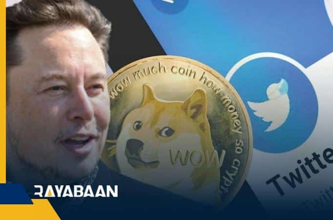 A significant increase in the price of Dogecoin