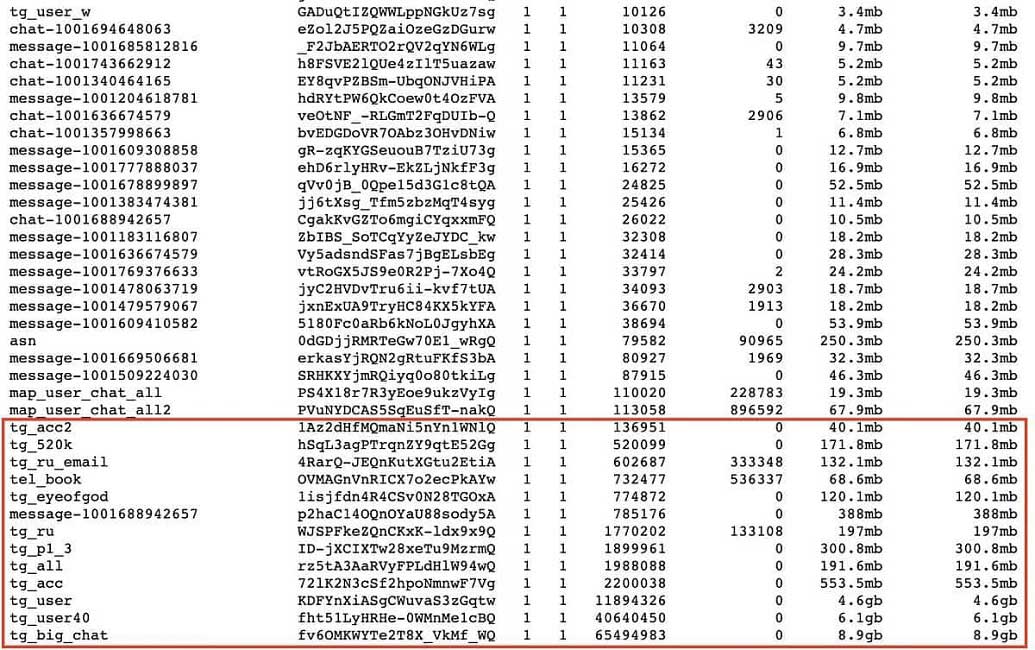 Disclosure of information of Telegram users