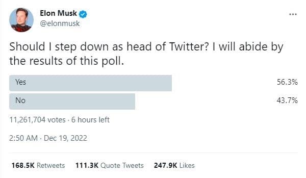 Poll Elon Musk to continue managing Twitter