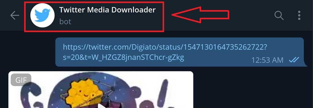 Twitter download bot