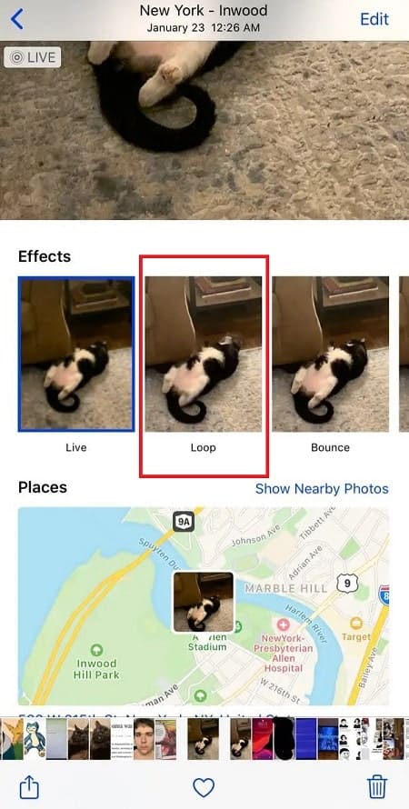 Using live images and app photos