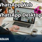 WhatsApp Web or WhatsApp Desktop