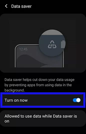 Disable the Data Saver feature on the Android