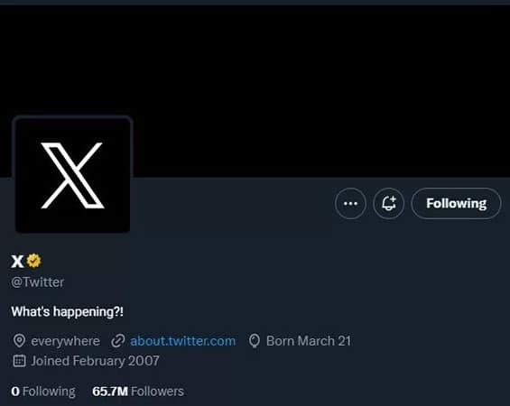 The letter X became the new Twitter logo